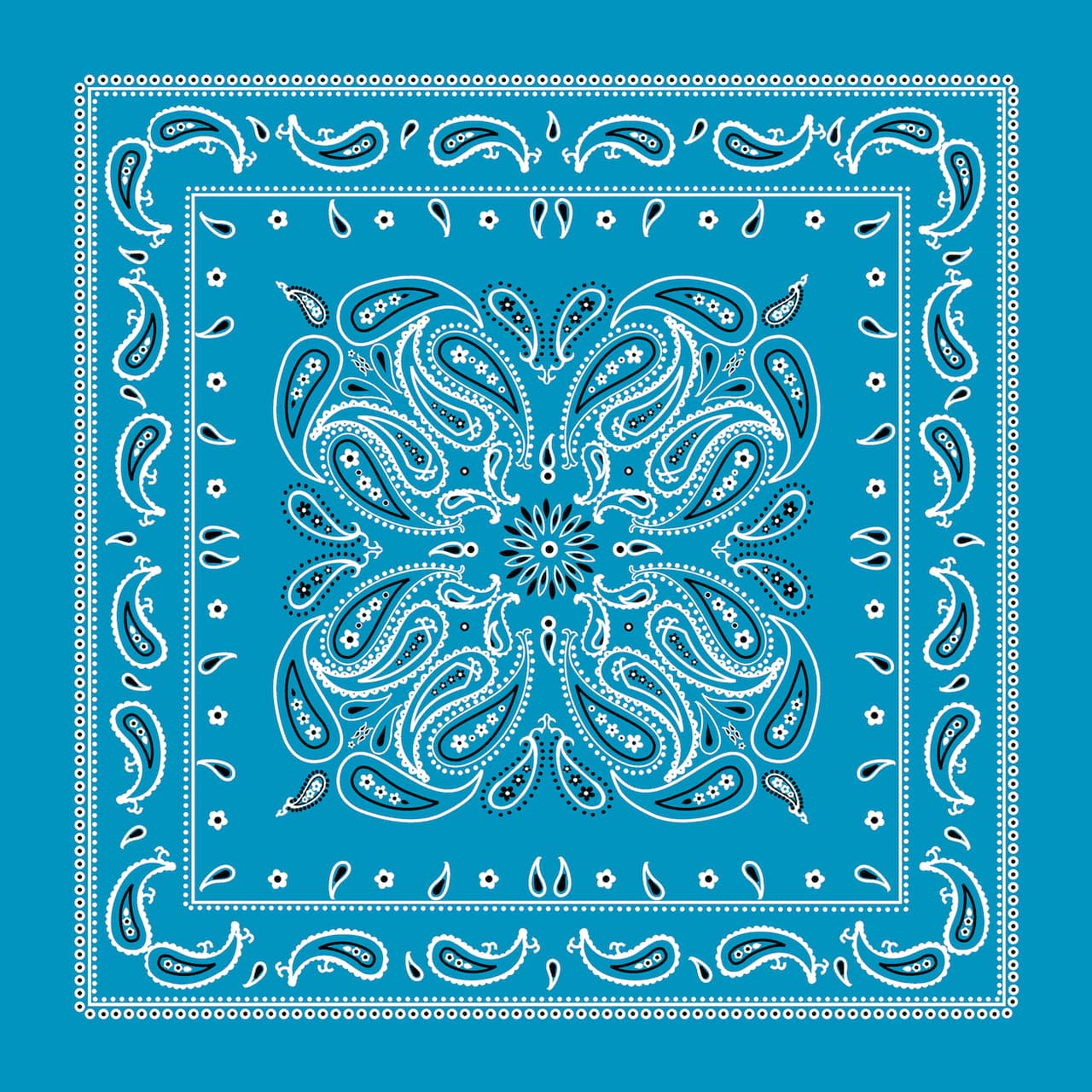 Paisley Bandana by Make Market®